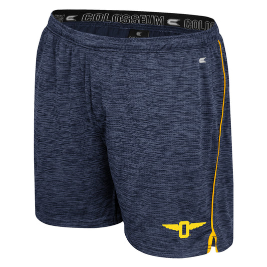 Always Sunny Shorts